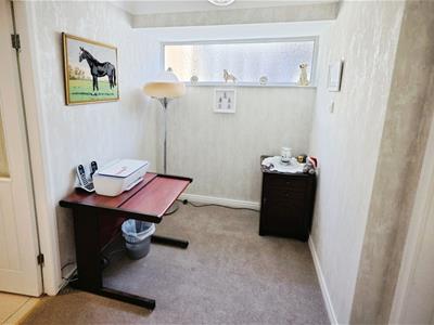 Picture 15
